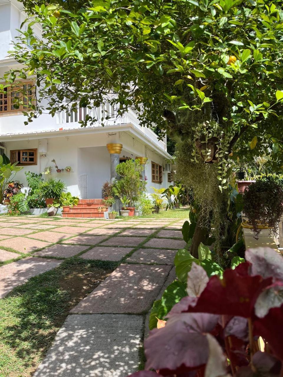 Cavern Apartments Baie Sainte Anne Dış mekan fotoğraf